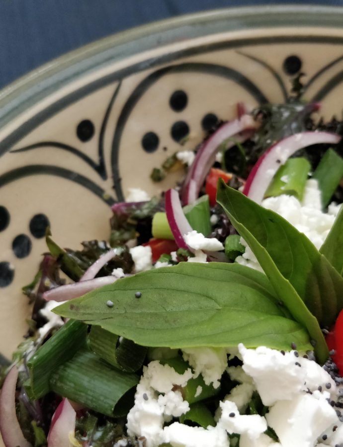 Summer Salad with Creamy Basil Poppy Seed Dressing