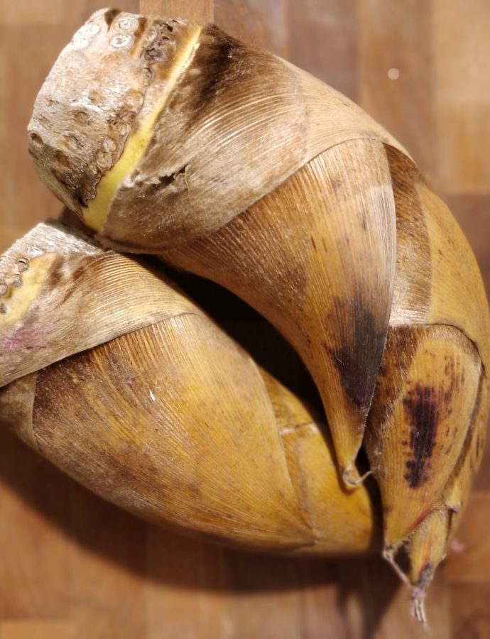 How to Prepare Fresh Bamboo Shoots in the Instant Pot