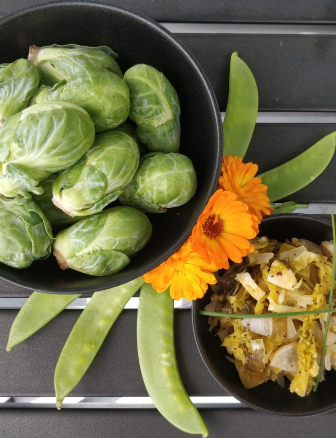 Lemon Poppy Seed Salad Kraut and Thoughts for the Coming Year