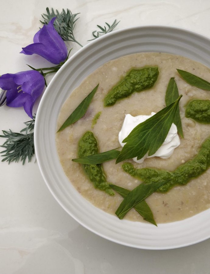 Taro Vichyssoise with Lovage Miso Purée