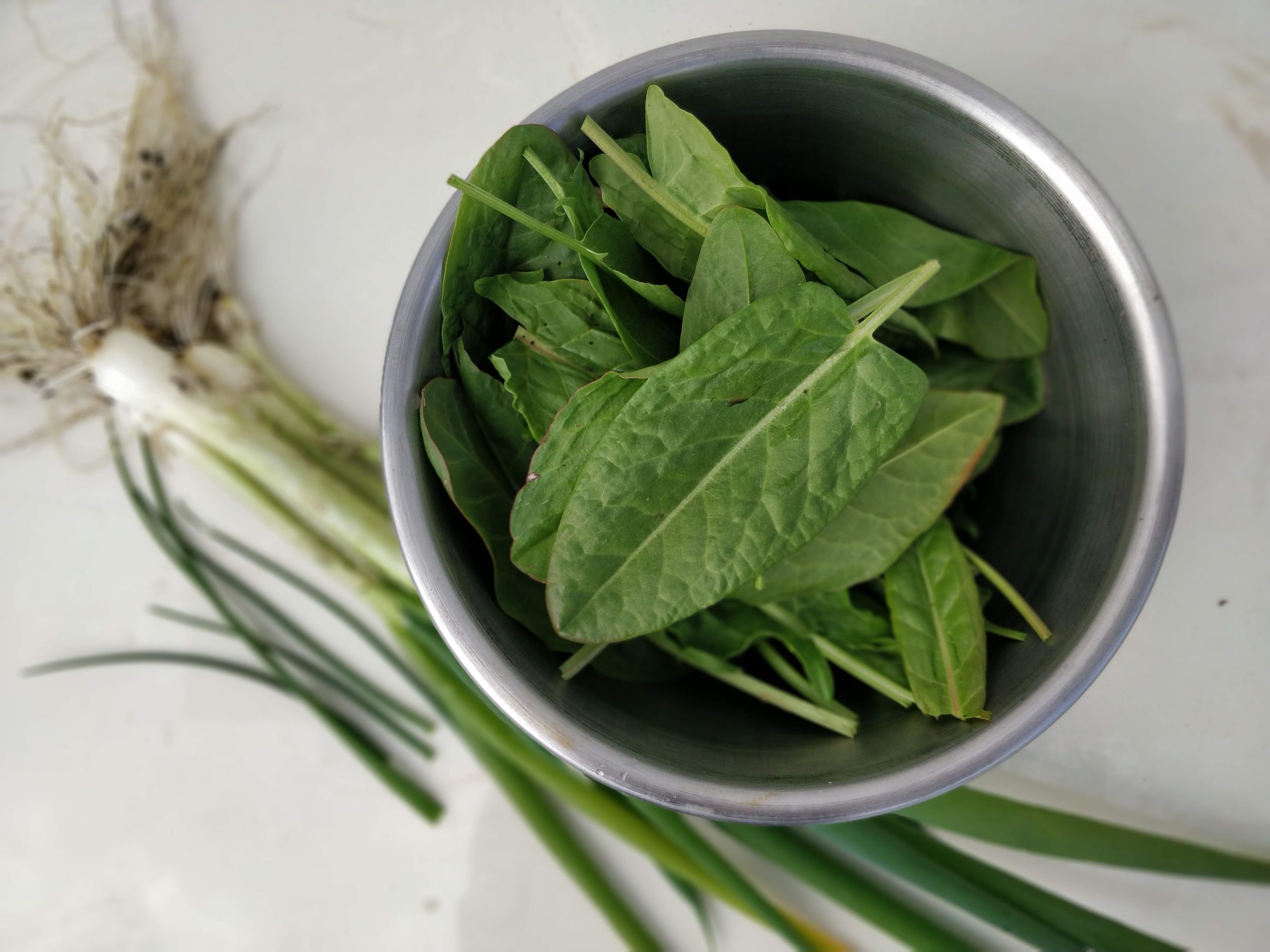 Sorrel, Onions, Chives